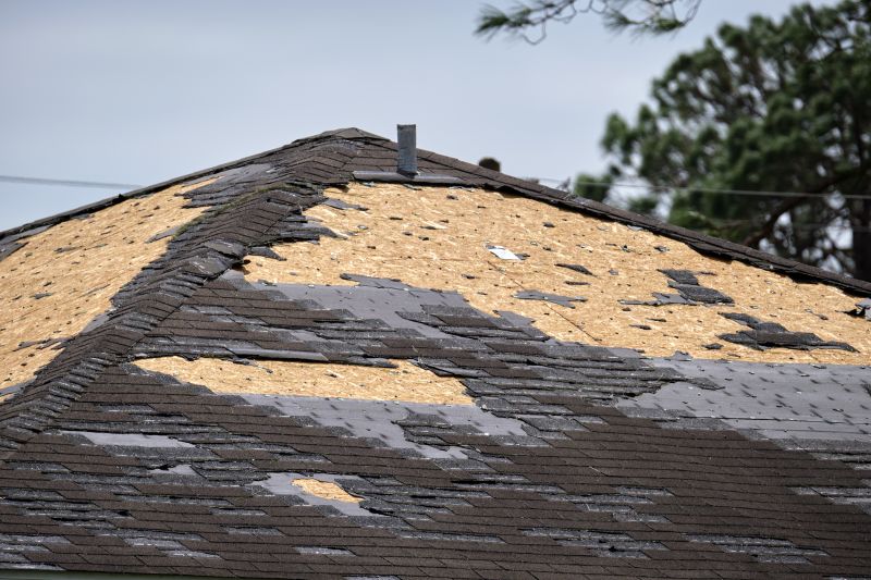 Roof Repair Process