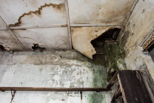 Water Damage Service in Carmel