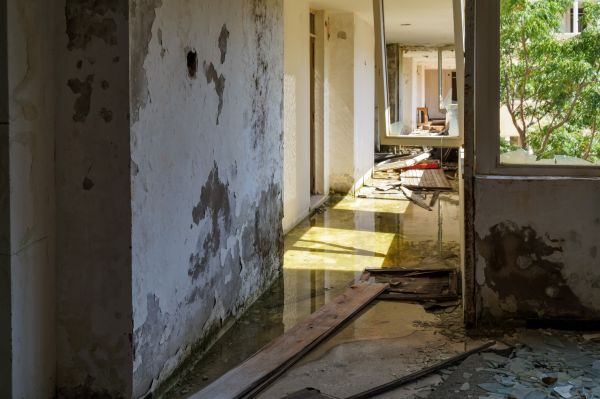 Cost of Water Removal Service in Carmel