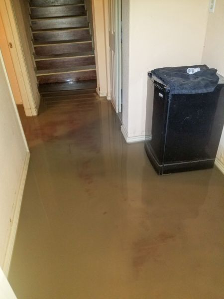 Cost of Emergency Water Removal in Carmel