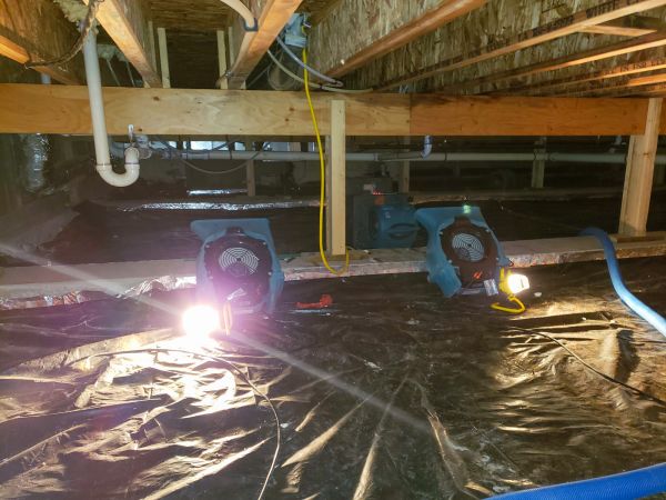 Cost of Crawlspace Water Removal in Carmel