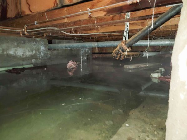 Cost of Crawlspace Water Restoration in Carmel